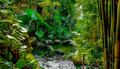 Obraz premium a hidden paradise