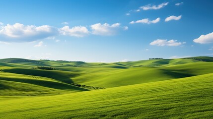 a field of green grass under a blue sky, Nature Landscape with Lush Greenery.