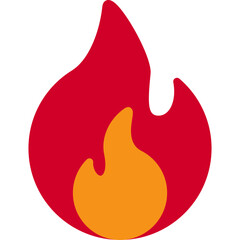 Flame Icon