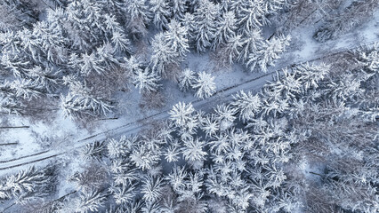 Top down view of footpath and snowy forest in winter.