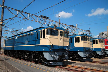 Fototapeta premium 尾久車両センターに並べられたEF65形電気機関車