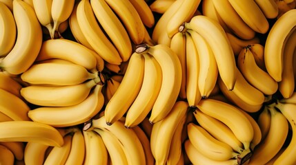  a large pile of ripe bananas sitting on top of a pile of unripe bananas on top of a pile of unripe bananas on top of other ripe bananas.