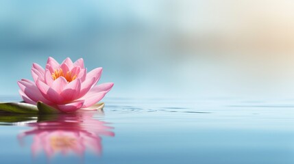Beautiful lotus flower on the water with copy space for background