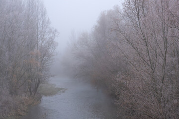 Obraz na płótnie Canvas River landscape in the mist in winter. Nature background.