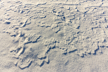 Snow background texture with snowflakes and relief