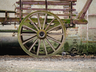 Fototapeta na wymiar rueda de madera en un carro antiguo de granja 