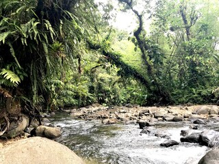 nature