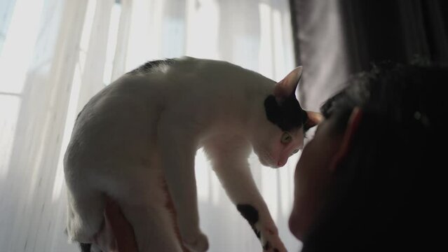 A woman stands holding her cute, favorite pet cat above her head.