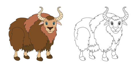Yak or bull line and color illustration. Cartoon vector illustration for coloring book.