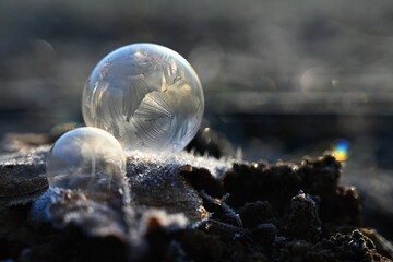 Frozen bubble in nature. A beautiful macro shot of nature in winter. Concept for environment, water...