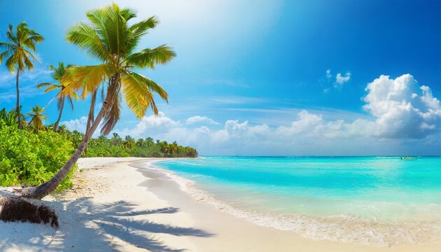 sunny tropical beach panorama turquoise caribbean sea with palm trees