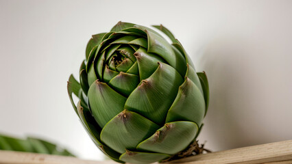 Fototapeta premium One whole fresh ripe artichoke on light gray background. Exotic vegetable for healthy nutrition and diet. Close-up. Copy space.