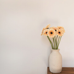 Aesthetic flowers composition. Elegant gentle gerbera daisy flowers bouquet in white clay vase on...