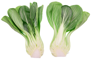 Bok choy or chinese cabbages isolated on white background. File contains clipping path.