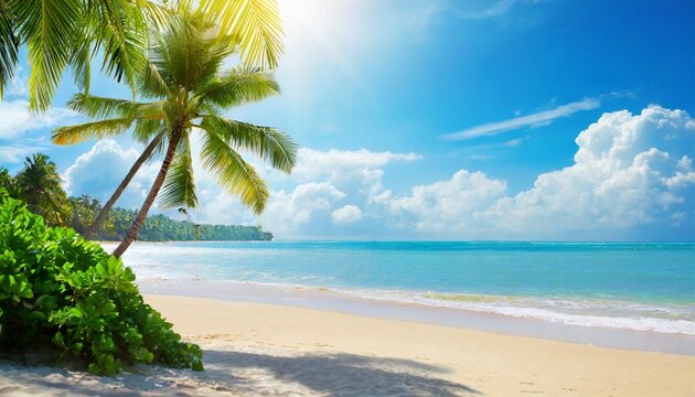sunny tropical beach with palm trees