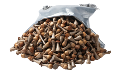Bag of Roofing Nails, Essential Anchors for Crafting Resilient Rooftop Structures on a White or Clear Surface PNG Transparent Background.