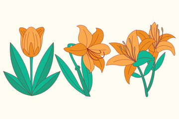 Illustration of orange flowers