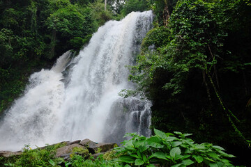 Beautiful Waterfall on the mountain and stream flowing on the rock of tropical rain forest in national park at Thailand