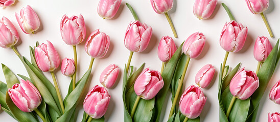 Fototapeta premium Pink tulips pattern, spring flowers on white background. Women's Day, Mother's Day, Valentine's Day panoramic banner, background, copy space, top down. Generative AI.