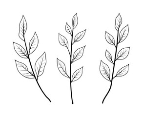 Vector black and white illustration of plant branches and leaves. Isolated collection of plant branches icons on white background.