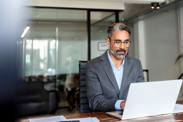 Happy mature European business man ceo trader using computer, typing, working in modern office,...