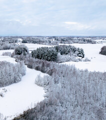 Winter landscape in the Latvian countryside (next to Lake Siver)