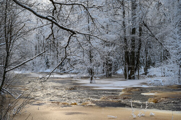 winter river in snowfall. beautiful snowy tree branches