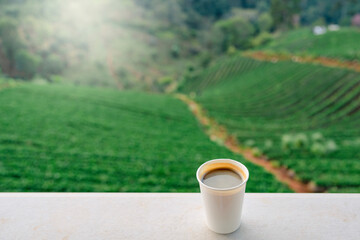 cup of tea on the terrace