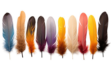 The Future of Decorative Feathers and Advanced Colorful Craft Techniques on a White or Clear Surface PNG Transparent Background.