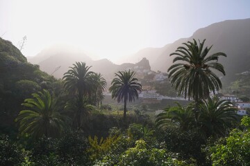 Fototapeta na wymiar Beautiful scenery of palms and panorama of town Hermigua in mountains on misty day on La Gomera, Canary Islands, Spain