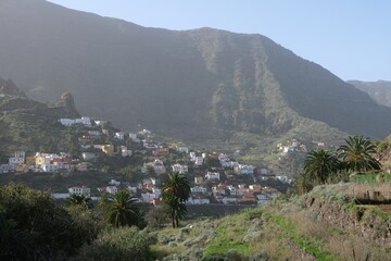 Fototapeta na wymiar Beautiful scenery of palms and panorama of town Hermigua in mountains on misty day on La Gomera, Canary Islands, Spain