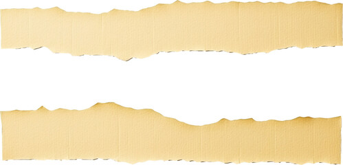 Fototapeta premium Torn paper isolated on transparent background. PNG