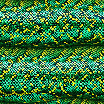 Seamless snake pattern - Seamless tile