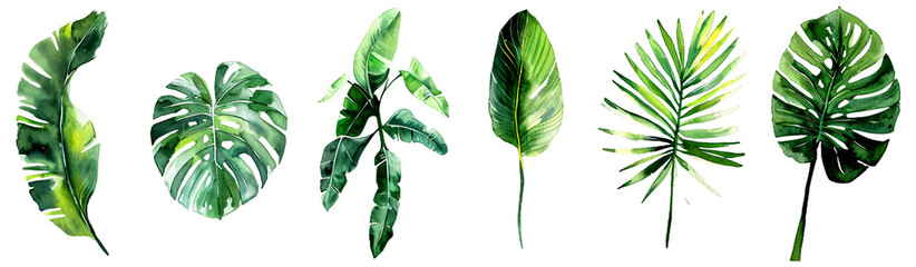 Set of vibrant green tropical leaves, each with unique shapes and patterns, illustrated on a white background