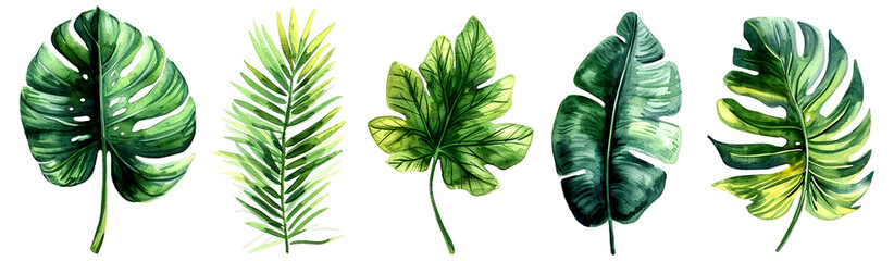 Vibrantly colored tropical leaves, detailed and textured, illustrated on a white background