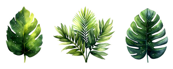 Set of vibrant green tropical leaves, each with unique shapes and patterns, illustrated on a white background