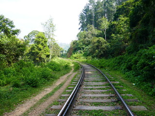 Paysages de Ella, Sri Lanka