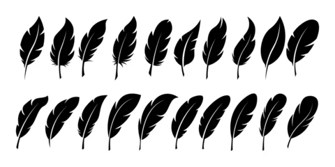 Foto op Canvas Set of Bird Feather. Feathers vector set in a flat style. Pen icon. Black quill feather silhouette. Plumelet collection isolated © THETO STUDIO
