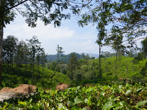 Paysages de Ella, Sri Lanka