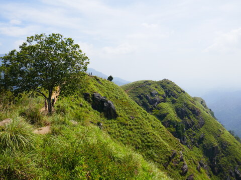 Paysages de Ella, Sri Lanka