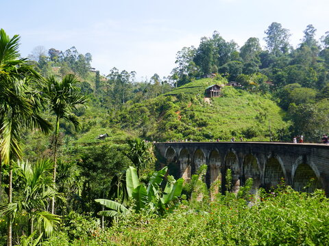 Paysages de Ella, Sri Lanka
