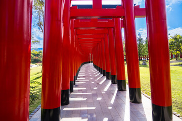 Chiang Mai, Thailand - January,06, 2024: Torii Gate replica in Hinoki Land new landmark travel place at Chiang Mai, Thailand.