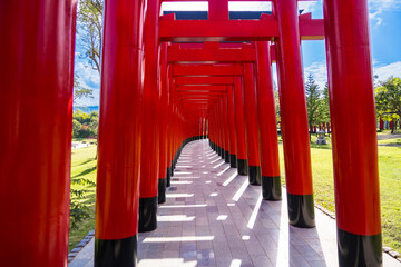Chiang Mai, Thailand - January,06, 2024: Torii Gate replica in Hinoki Land new landmark travel...