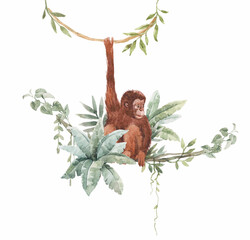 Beautiful composition with watercolor hand drawn red haired orangutan in tropical environment. Stock clip art. © zenina