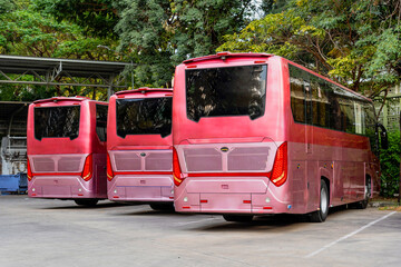 Red tourist buses in the parking lot, rear view against the backdrop of a city park on the final route destination