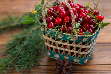 ripe cherries in the basket. Harvest of red berries on a wooden background