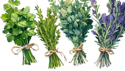 Painting of Bunches of Culinary Herbs on a Wooden Table, Parsley, Sage, Rosemary and Thyme, Vibrant Botanical Illustration, White Background - obrazy, fototapety, plakaty