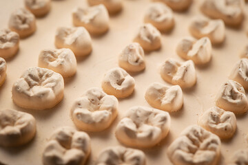 The image of a denture	, tooth samples,