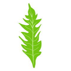 Green Leaf Dandelion 