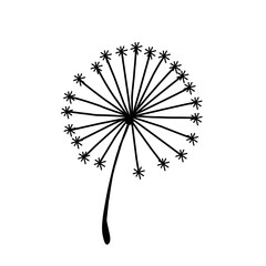 Dandelion Flower Vector Illustration 